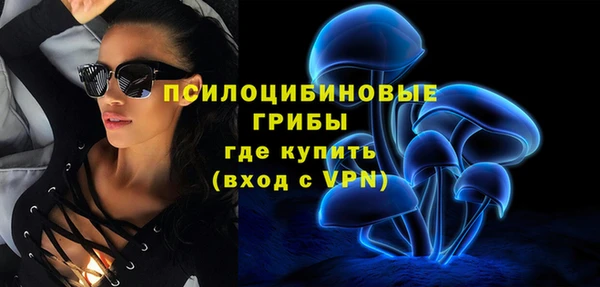 гидра Алзамай