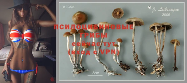 трава Алексеевка