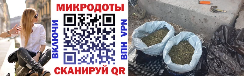 mega маркетплейс Льгов Псилоцибиновые грибы GOLDEN TEACHER